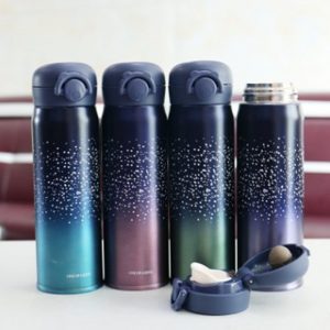 Double Wall Stainless Steel Bottle