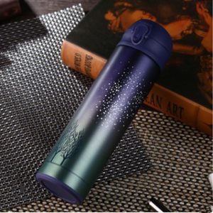 Double Wall Stainless Steel Bottle